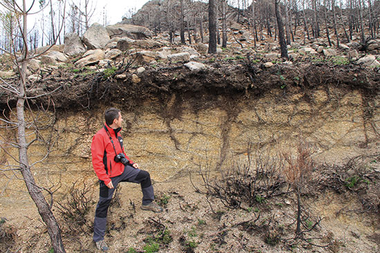 Jorge Mataix-Solera examining the ground after a fire.