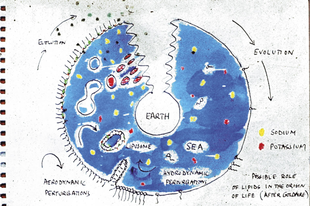 References - The Origin and Nature of Life on Earth