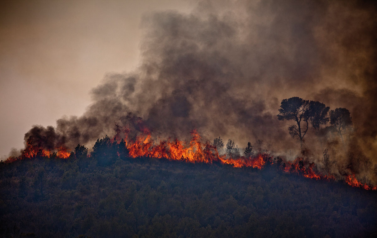 Wildfire in Andilla (La Serranía)