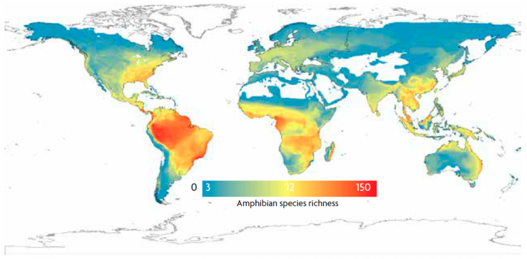 The Map Of Biodiversity   Anton Pardo EN 5 768x378 