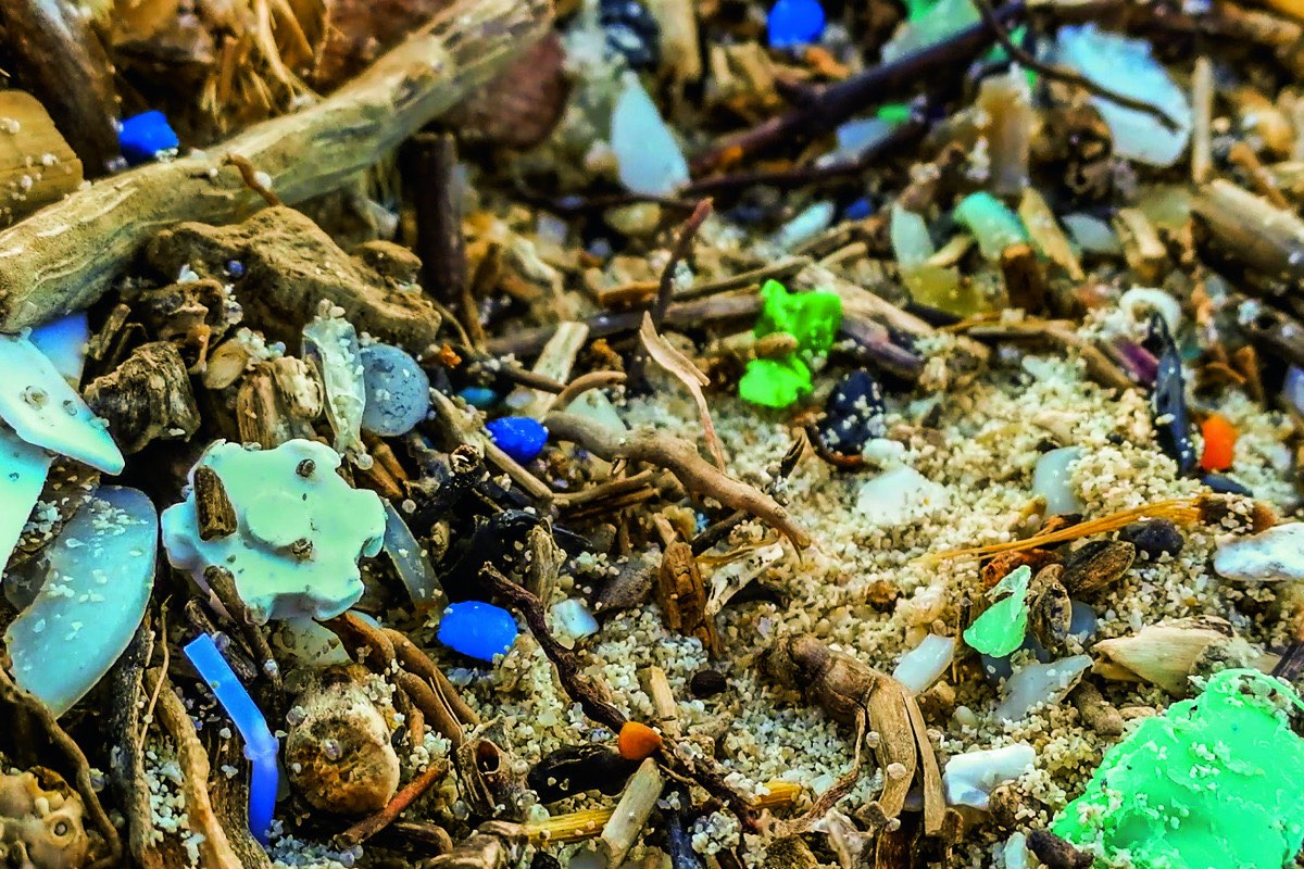 microplastics article