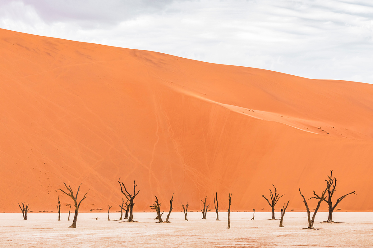 Dead Vlei