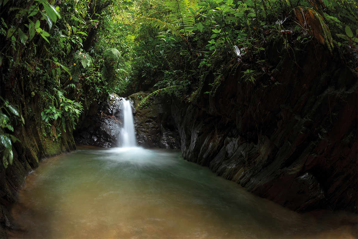 fotografia i biodiversitat