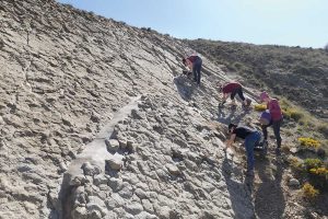 Jaciment de petjades de dinosaures a Miravete de la Sierra (Terol)