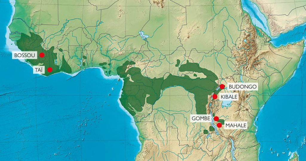 Mapa d'Àfrica central