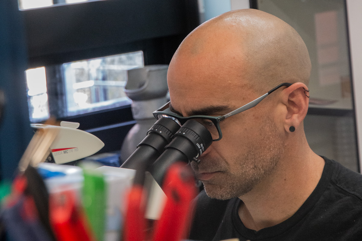Pau Carazo working at his lab