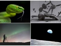 photography and science
